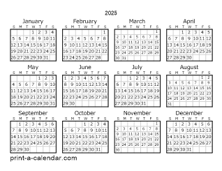 2025 Yearly Calendar | One page Calendar